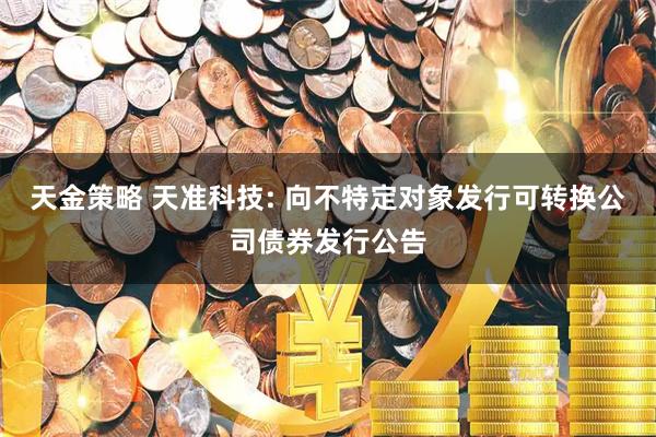 天金策略 天准科技: 向不特定对象发行可转换公司债券发行公告
